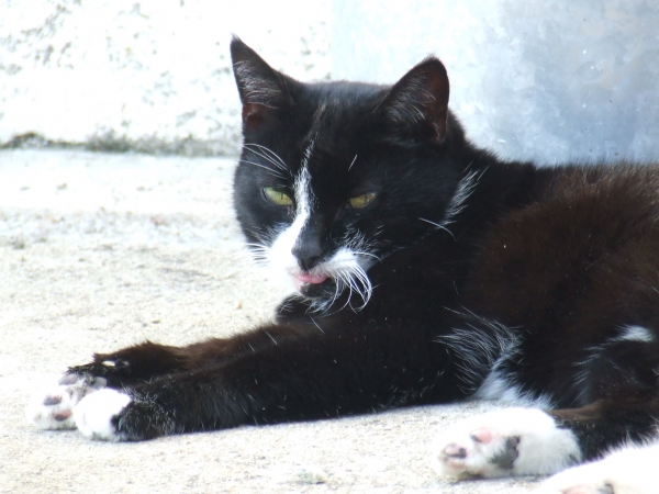 DSCF2595.JPG