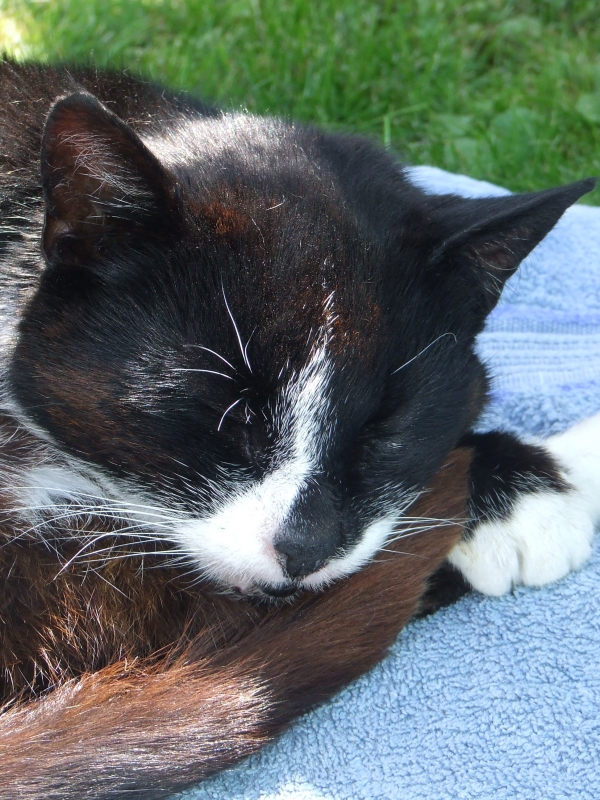 DSCF3563.JPG