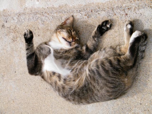 2010_06290014_640x480.JPG