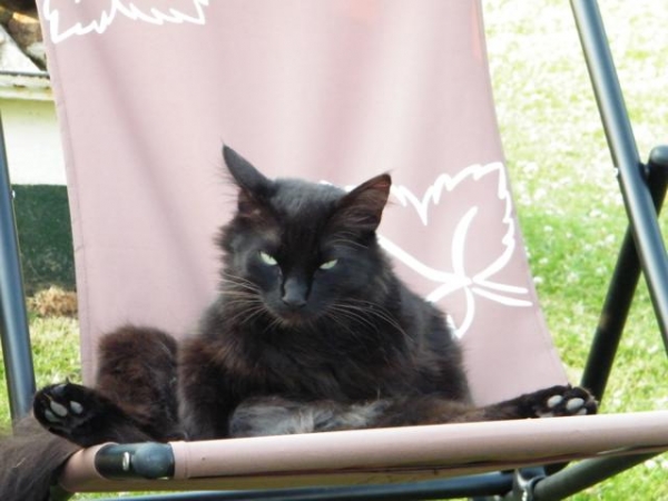 2010_06290028_640x480.JPG