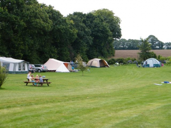 2011.jpg