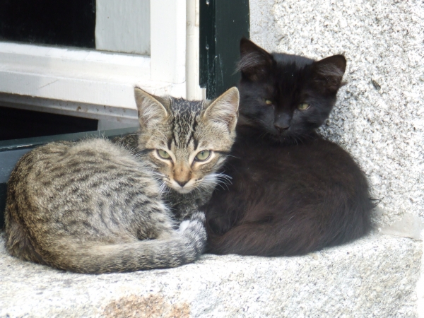 DSCF1317.JPG