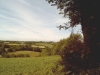 View.jpg<br />