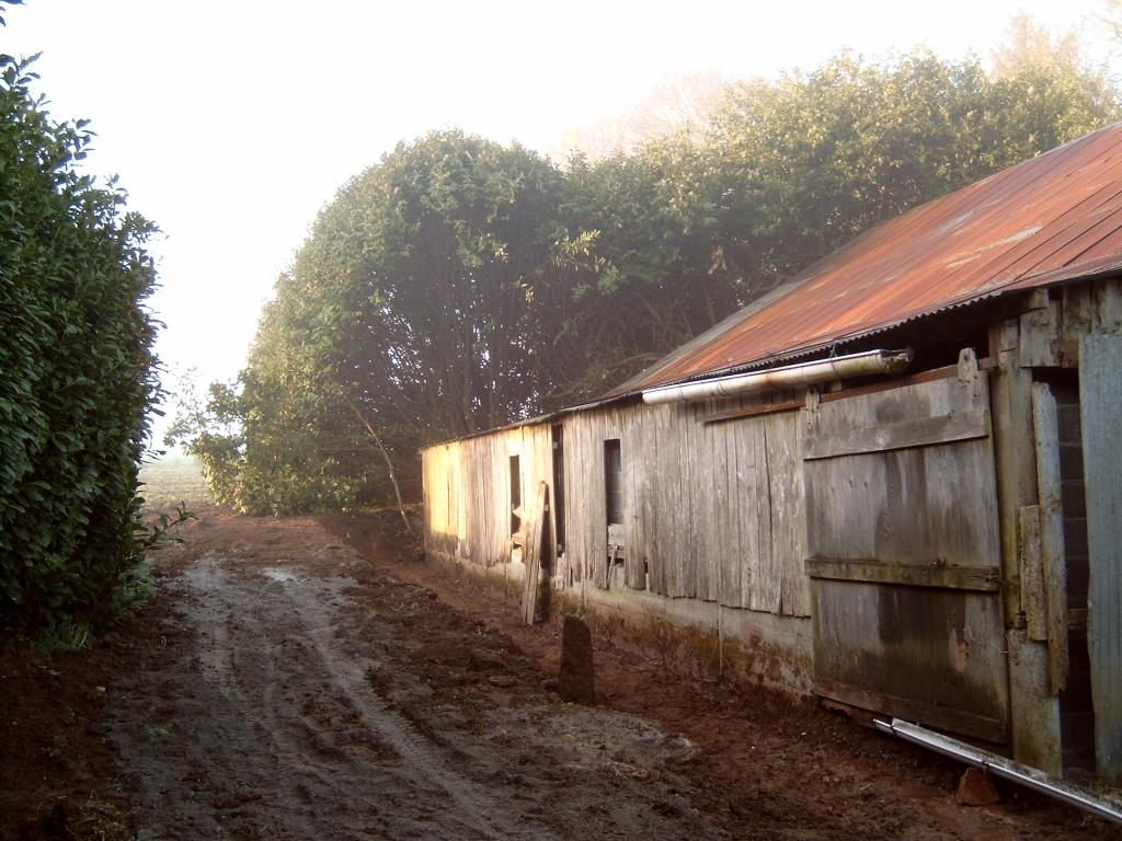 naast hangar3.JPG