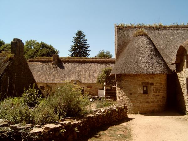 Poul fetan 4